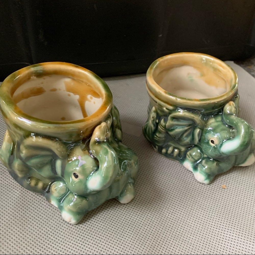 Pair of elephant bamboo succulent planters
